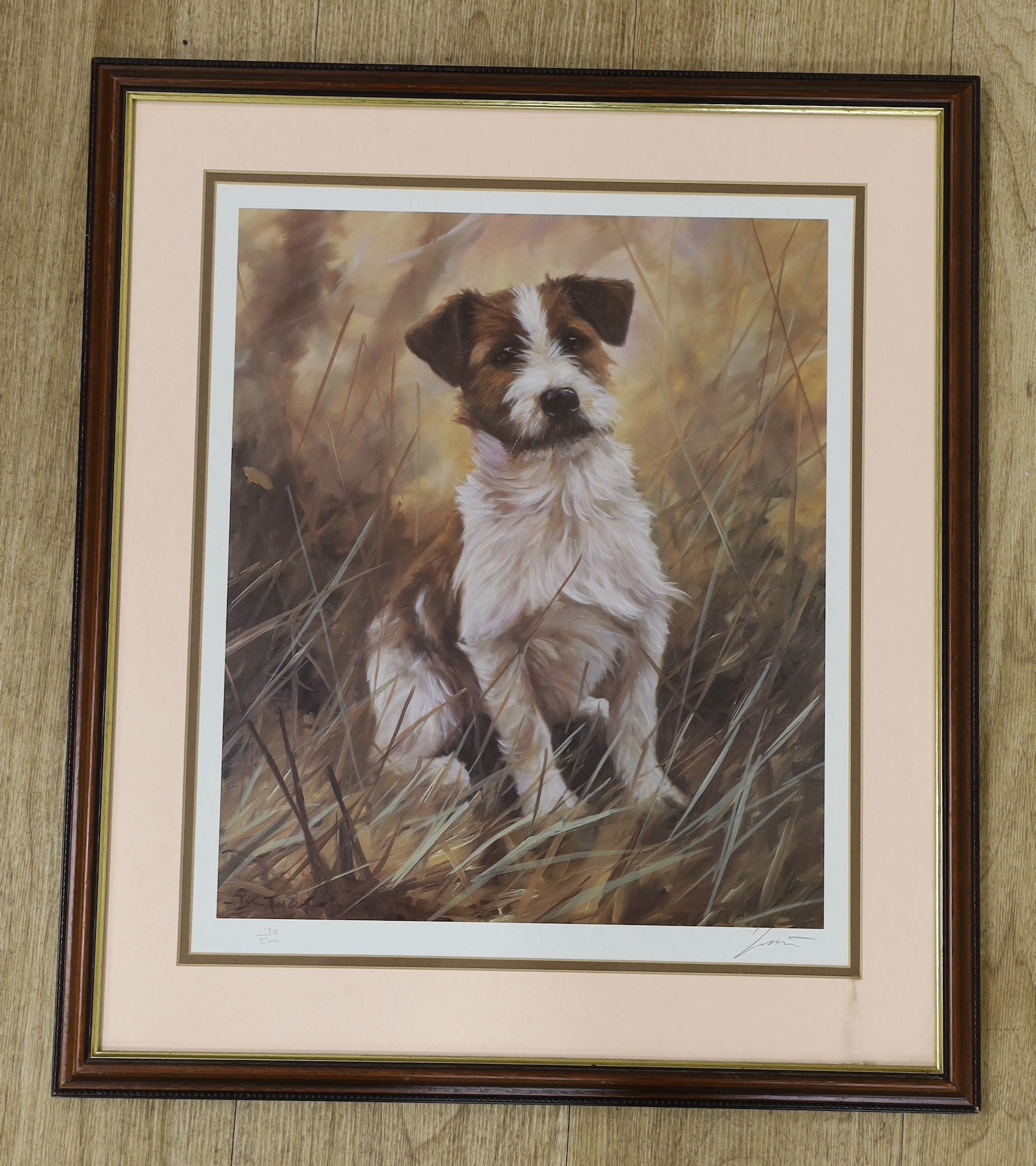 John Trickett (b.1953), limited edition print, Study of a terrier, signed in pencil, 180/500, 39 x 33cm